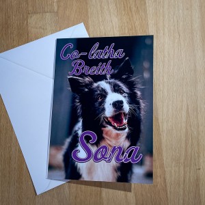 Happy Birthday Card - Collie  image