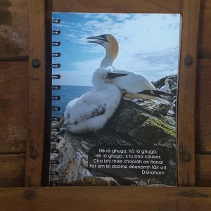 Guga notebook image