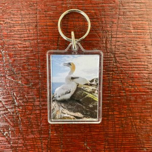 Guga keyring image