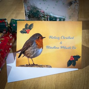 Robin and Holly Christmas Card image
