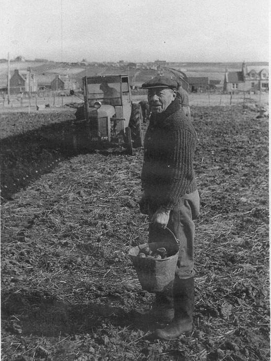 children playing on traktor