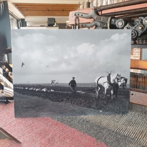 Nis Aosmhor print: Ploughing with horses image