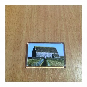 Teampull Mholuaidh magnet image