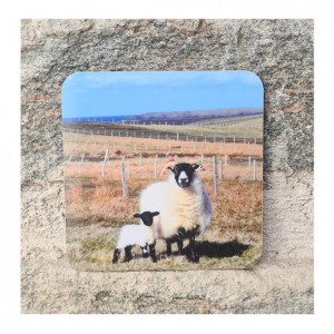 Sheep and lamb coaster image